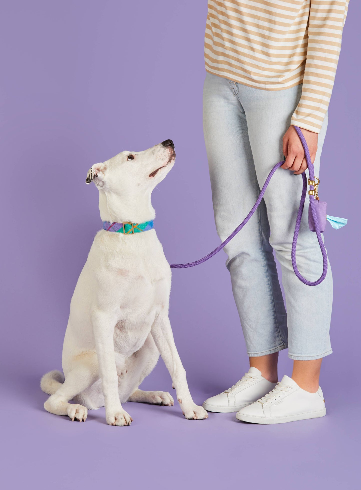 Violet Valentine's Day Marine Rope Dog Leash