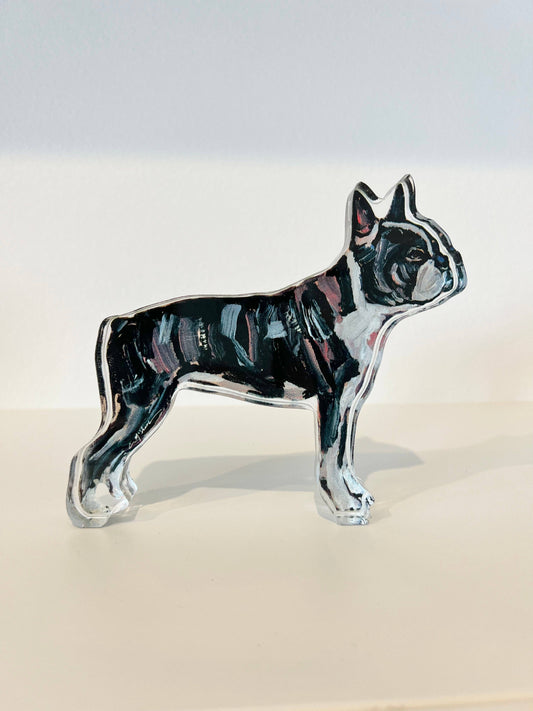 "Boston Terrier" acrylic shelfie